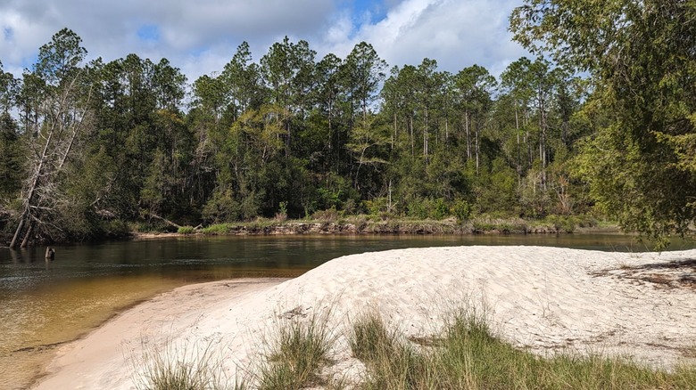 The Perdido Wildlife Management Area, straddling the Alabama-Florida border