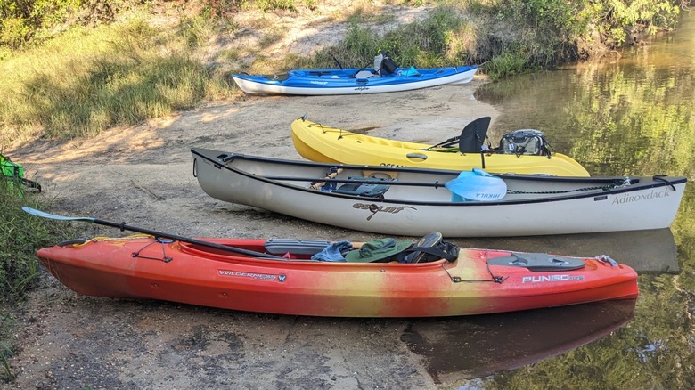 Kayaks on the shore at the Perdido River Wildlife Management Area