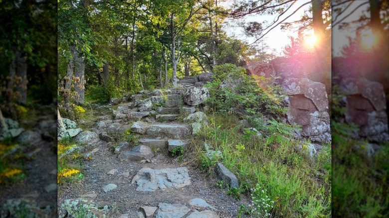 Rocky steps on a trail in Interstate State Park in Wisconsin