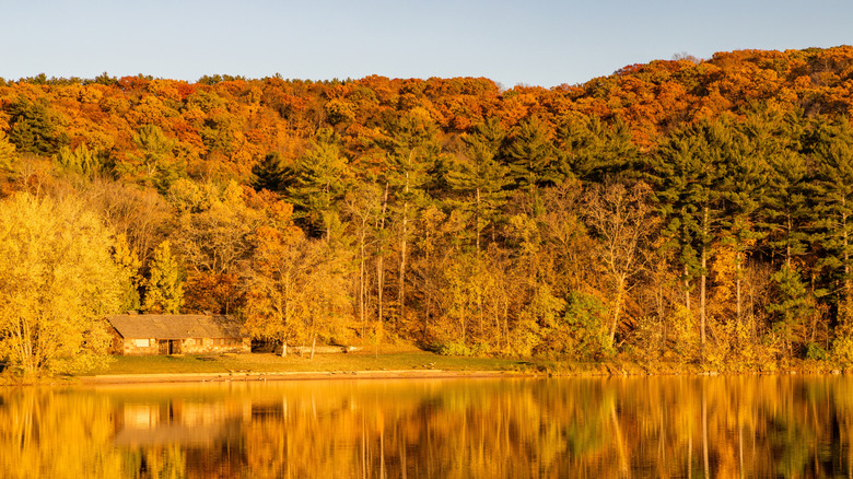 Golden light and fall colors at Lake O' the Dalles in Interstate State Park