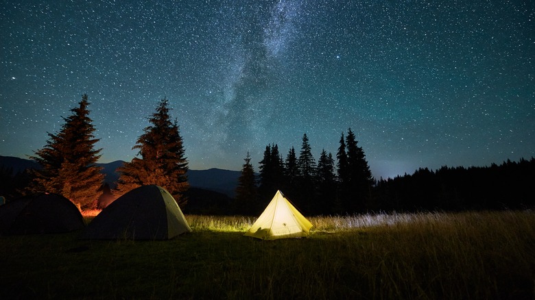 Tents in field under starry sky