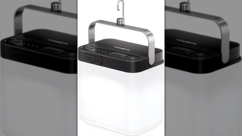 Clear camping light with hook