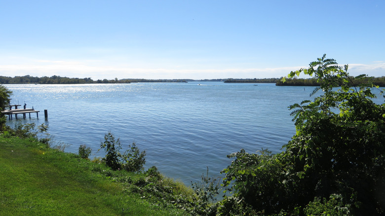 A view of the Detroit River from Amherstburg on a clear, sunny day; the foreground has green grass and a small pontoon.