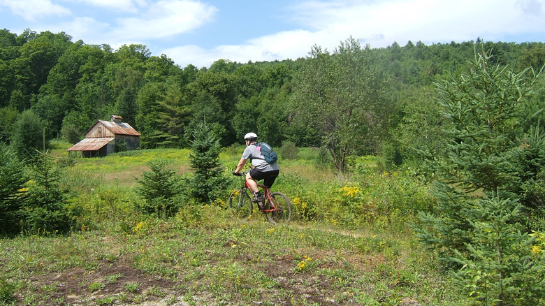 A cyclist pedals across a meadow in rural Vermont.