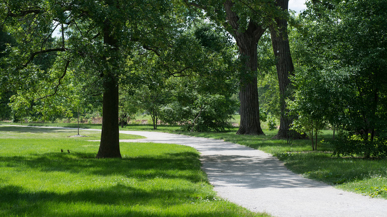 Hiking and biking trail in Forest Park in St. Louis