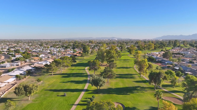Grassy fields in Youngtown, Arizona, on a sunny day