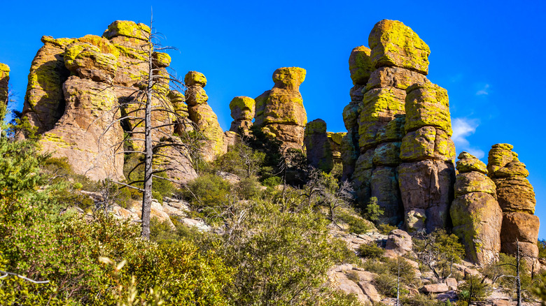 Rock formations in Chiricahua National Monument