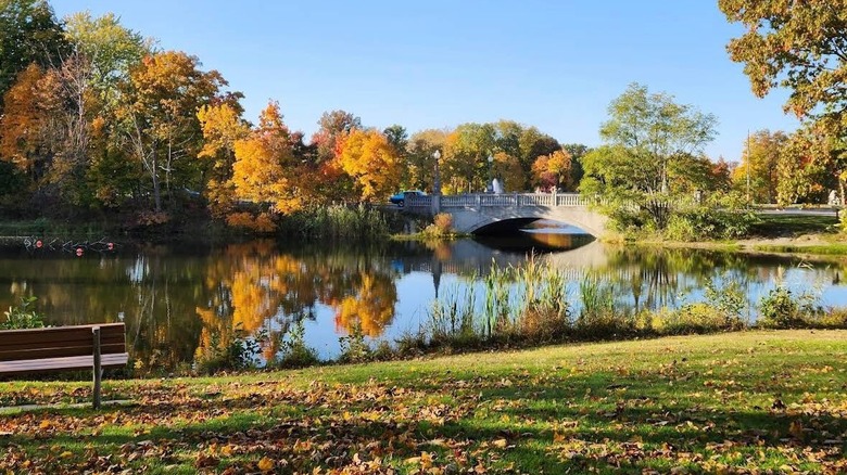 Riverside lined with beautiful trees close to a bridge at Buhl Park