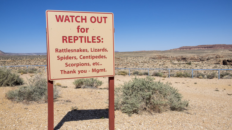 A warning sign for reptiles and other dangerous species at a park in Arizona