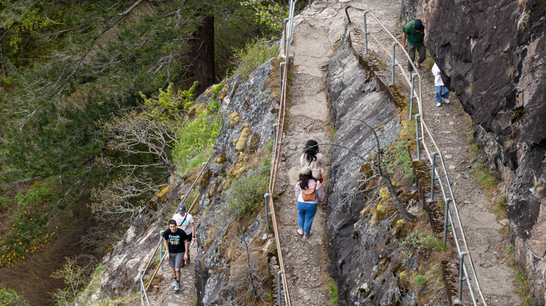 hikers beacon rock trail switchbacks