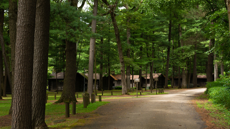 Cabins in illinois forest