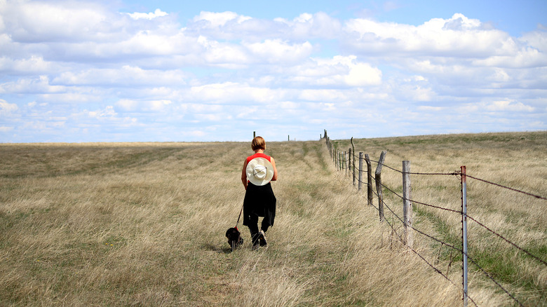 Person walking a dog on the south dakota prairie