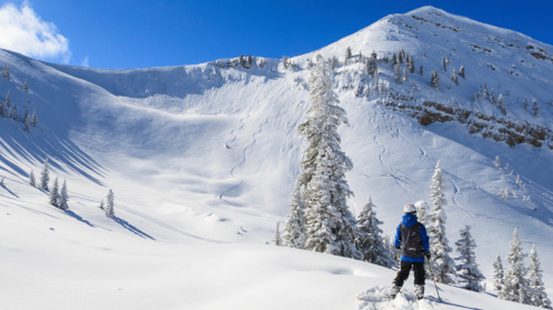 Skiers on a ski run at Grand Targhee Resort