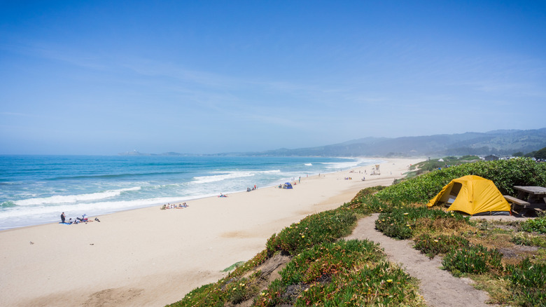 Campsite set up with view of a Pacific Ocean beach