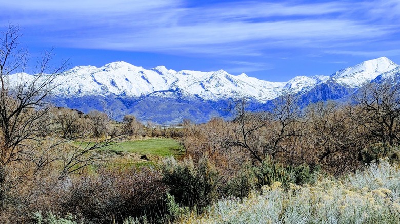 Mountainscape in American Fork, Utah