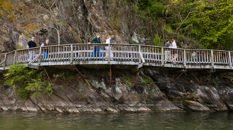 People walking on boardwalk above the water at Ijams Nature Center in Knoxville, Tennessee