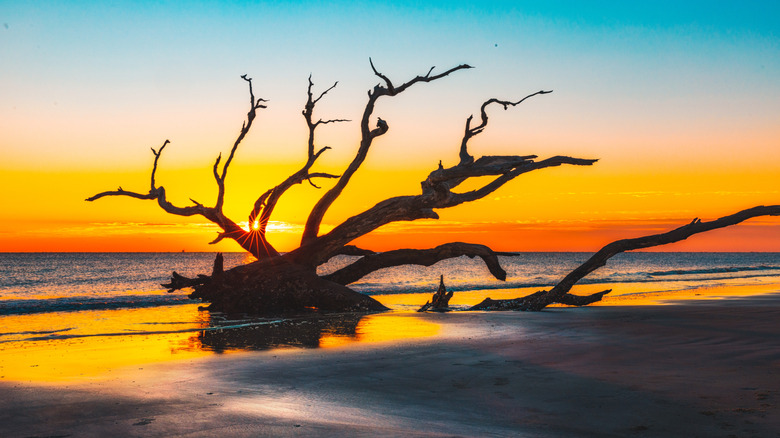 Sunrise on Jekyll island, Georgia.