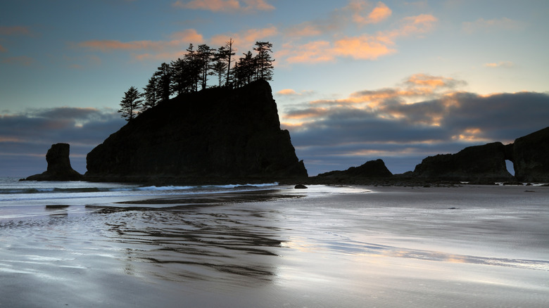 Second Beach at sunset, Olympic National Park, Washington.