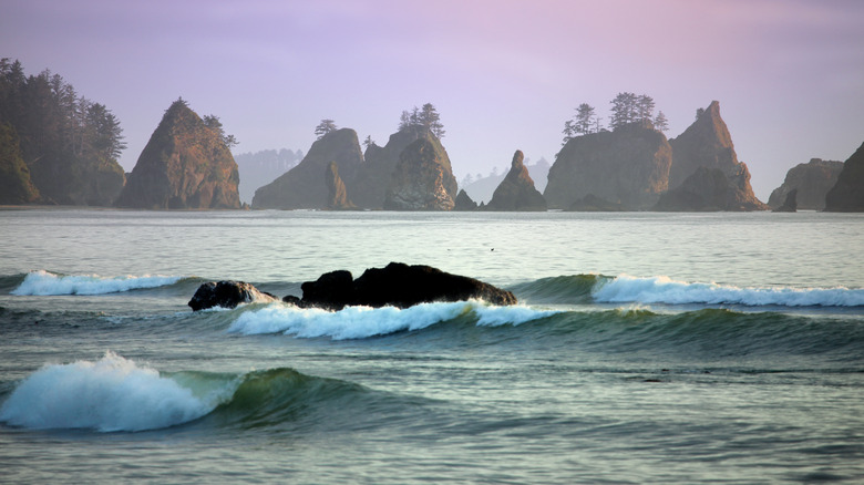 Sunset at Shi Shi Beach on the Washington coast.