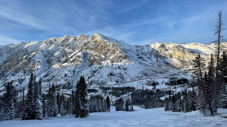 snow covered rugged mountains, lined with pine trees