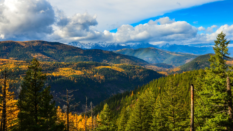 Cabinet Mountain Wilderness near Libby, Montana