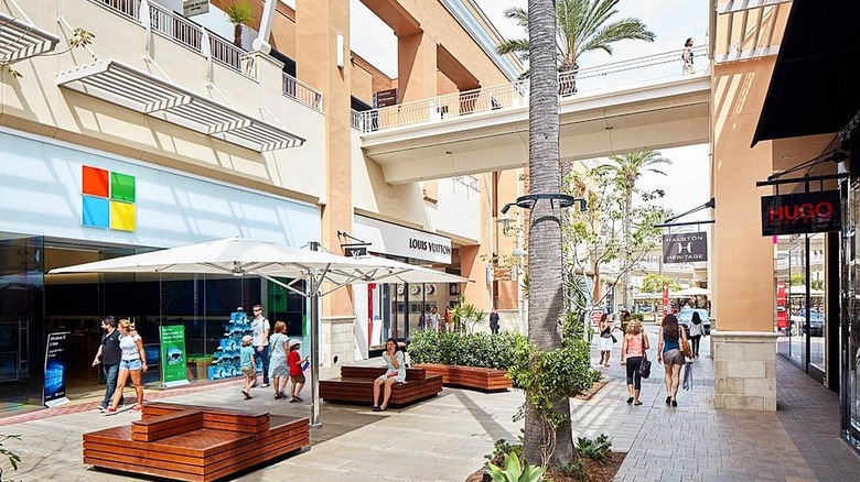 People walking along a palm tree covered shopping promenade at Fashion Valley.