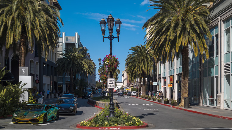A street lined with palm trees and stores at Santana Row.
