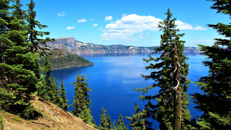 View from the shore of Crater Lake Oregon on a Summer Day