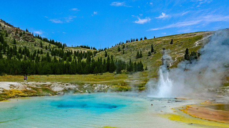 Aqua blue pool with venting steam, green meadow and pine forests in the backdrop