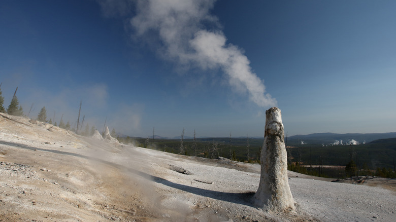 solitary geyser cone shaped like thermos steaming at the mouth