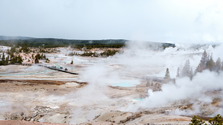 Geyser fumes cover the arid landscape, boardwalk seen far ahead with few people