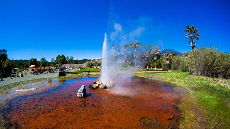 erupting geyser surrounded by a park, seating areas, few palm trees