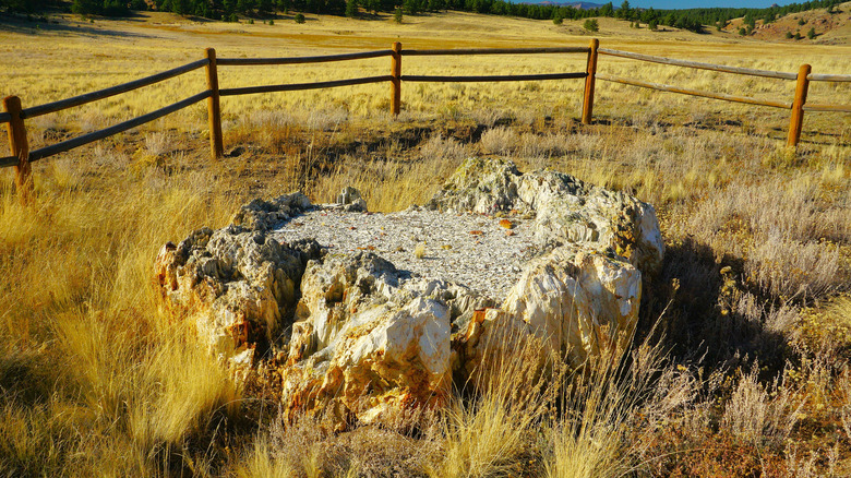 Fossilized tree stump at Florissant Fossil Beds