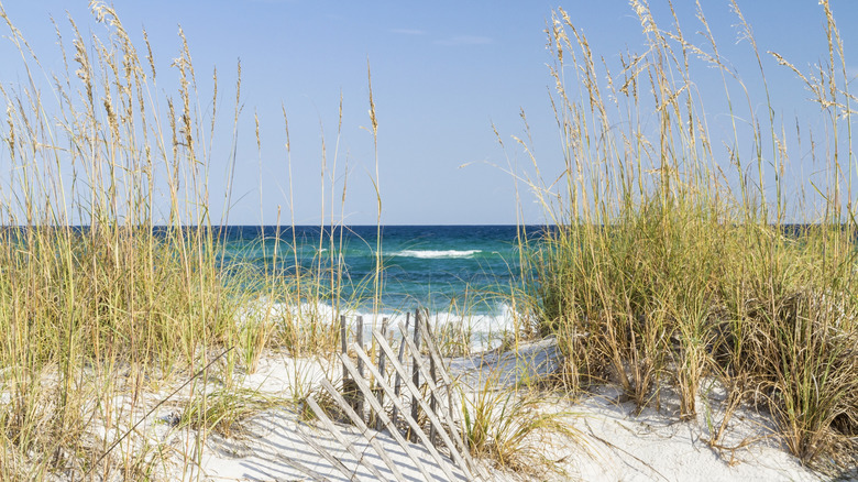 Dunes and water at Gulf Islands National Seashore