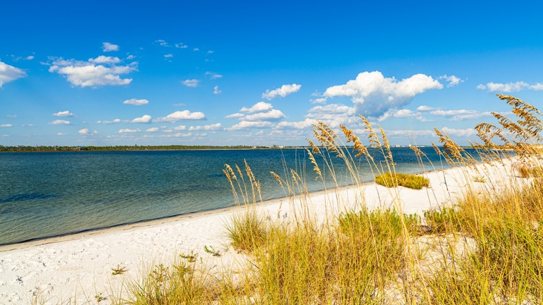 Perdido Key State Park in Pensacola, Florida