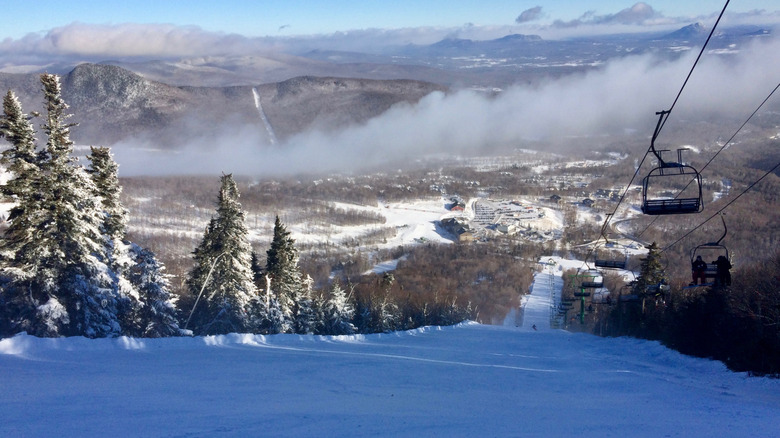 Ski lifts and trees on Jay Peak in Jay, Vermont
