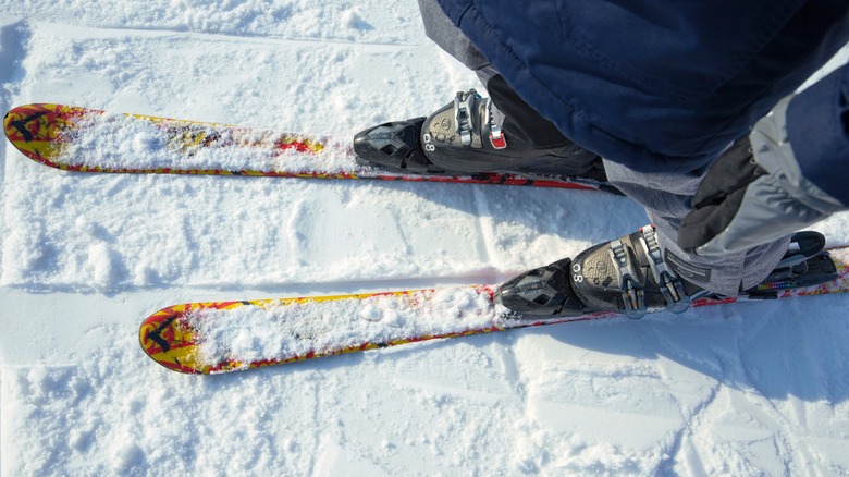 Ski blades in snow