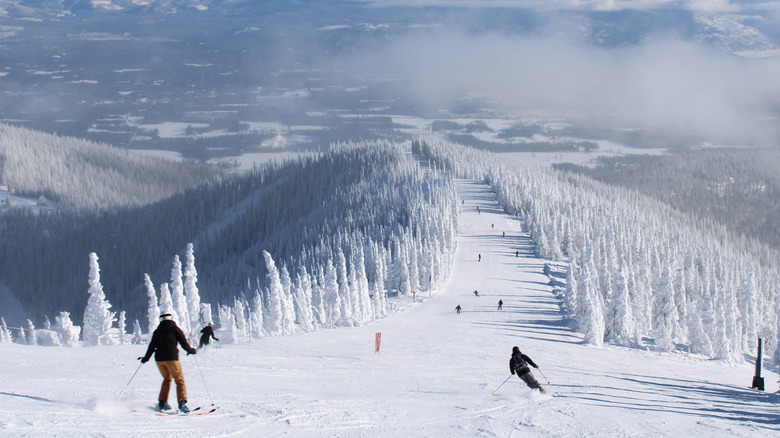 Skiers on Schweitzer Mountain, Idaho