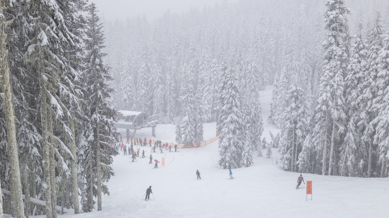 Skiers at Timberline Lodge in Oregon