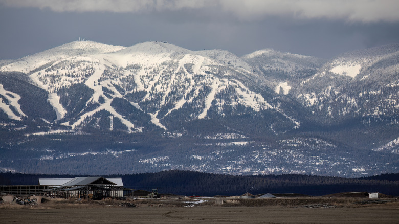 Mountains and cabins at the Whitefish Mountain Resort