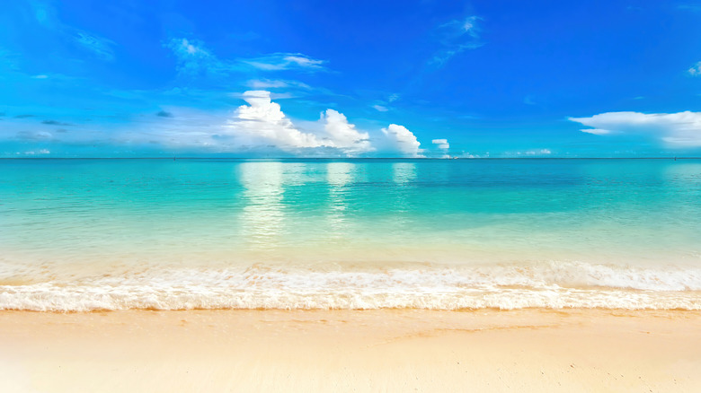 A white sand beach with bright blue water