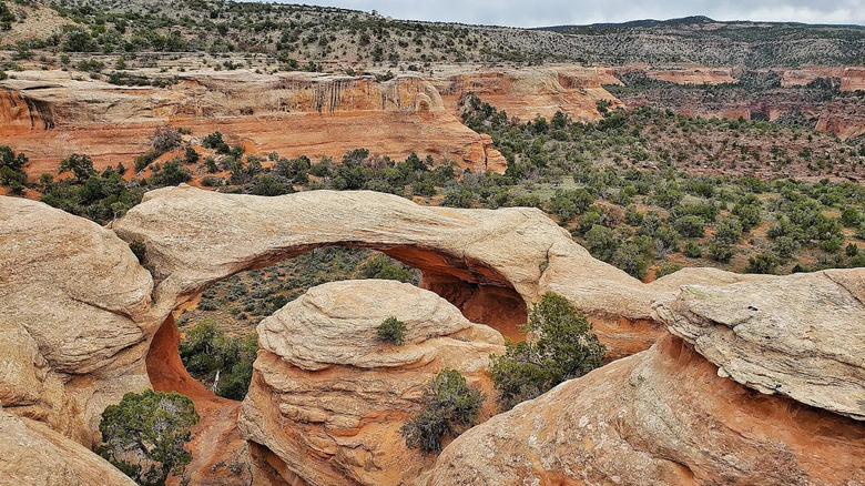 A natural rock arch in the Black Ridge Canyons area of western Colorado and eastern Utah.