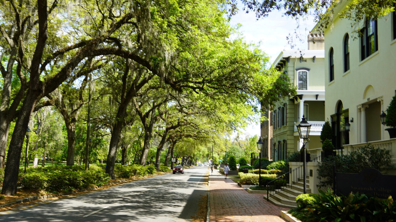 Historic homes with trees in Savannah, Georgia