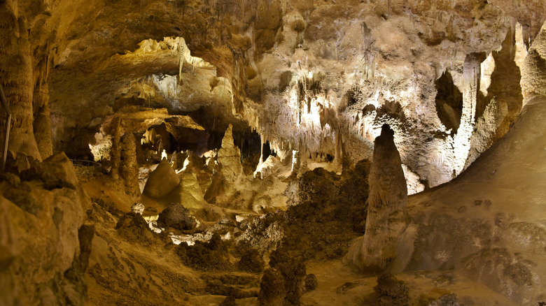 Cave formation of stalactites and stalagmites in the Big Room of Carlsbad Caverns National Park, New Mexico