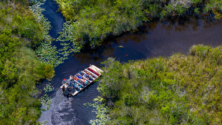 An aerial view of an air boat cruising through Everglades National Park