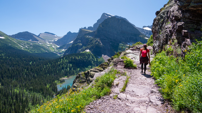 A hiker walks along a narrow mountain trail overlooking an alpine valley in Glacier National Park