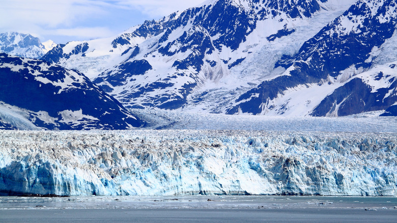 A glacier in Alaska's Glacier Bay National Park