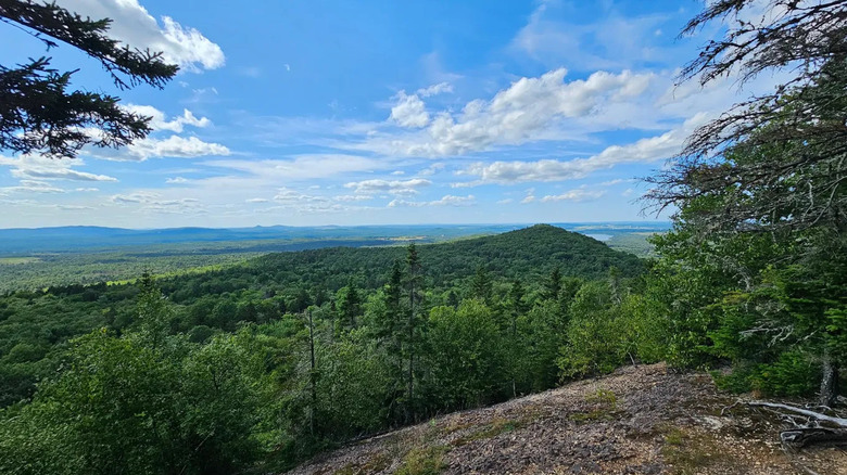 A view over the landscape from the top of Quaggy Jo Mountain, Aroostook State Park, Maine