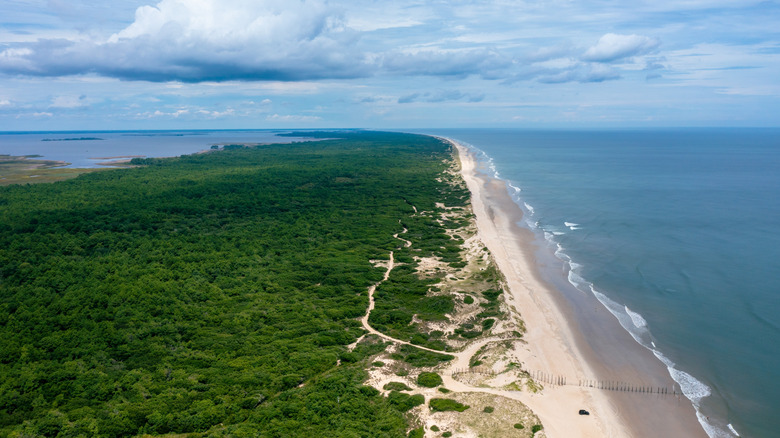 Aerial view of False Cape State Park, Virginia