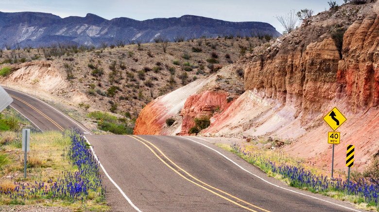 A highway in Big Bend Ranch State Park, West Texas